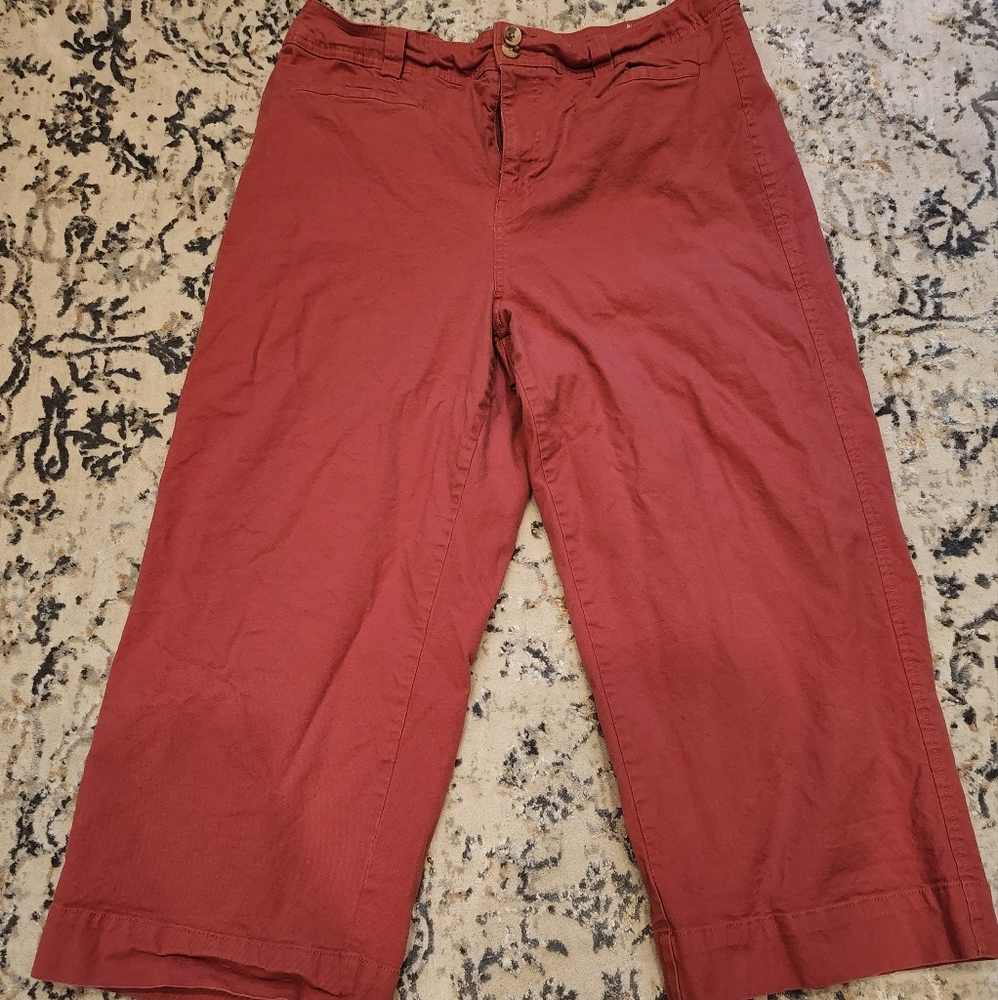 Wide-leg Rust cotton pants